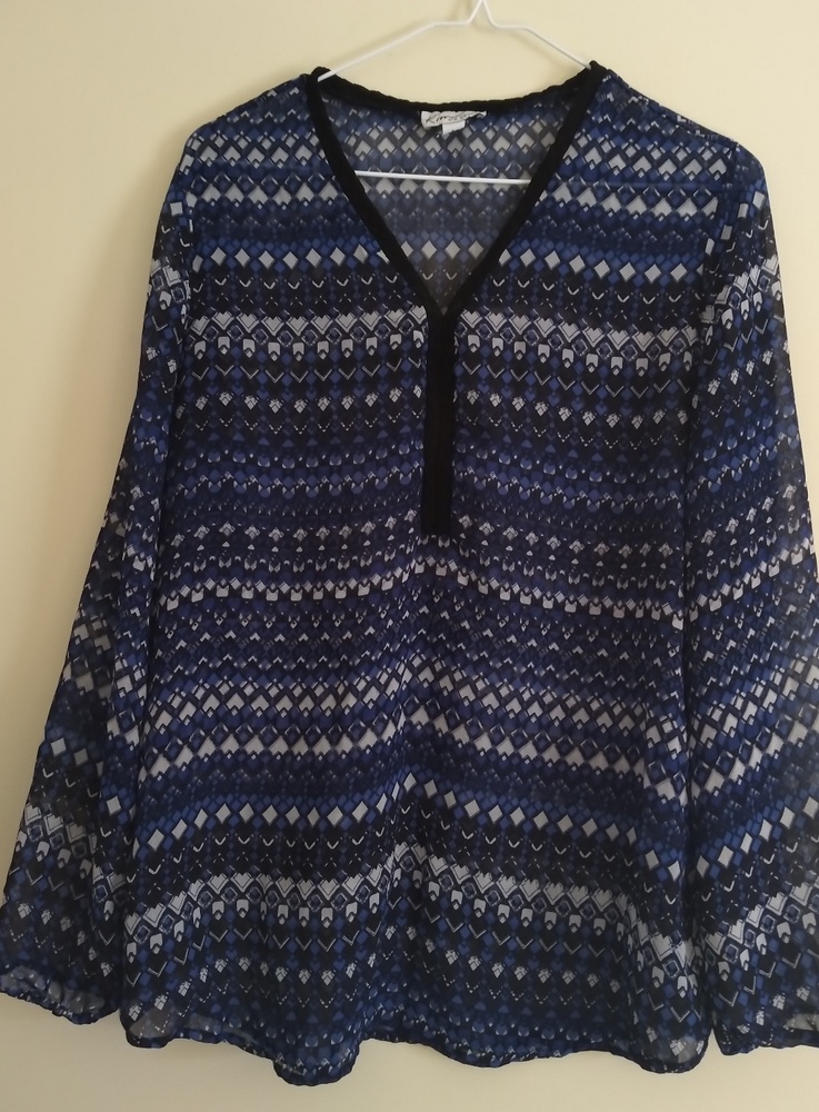 Kim Rogers Sheer Long Sleeve Blouse